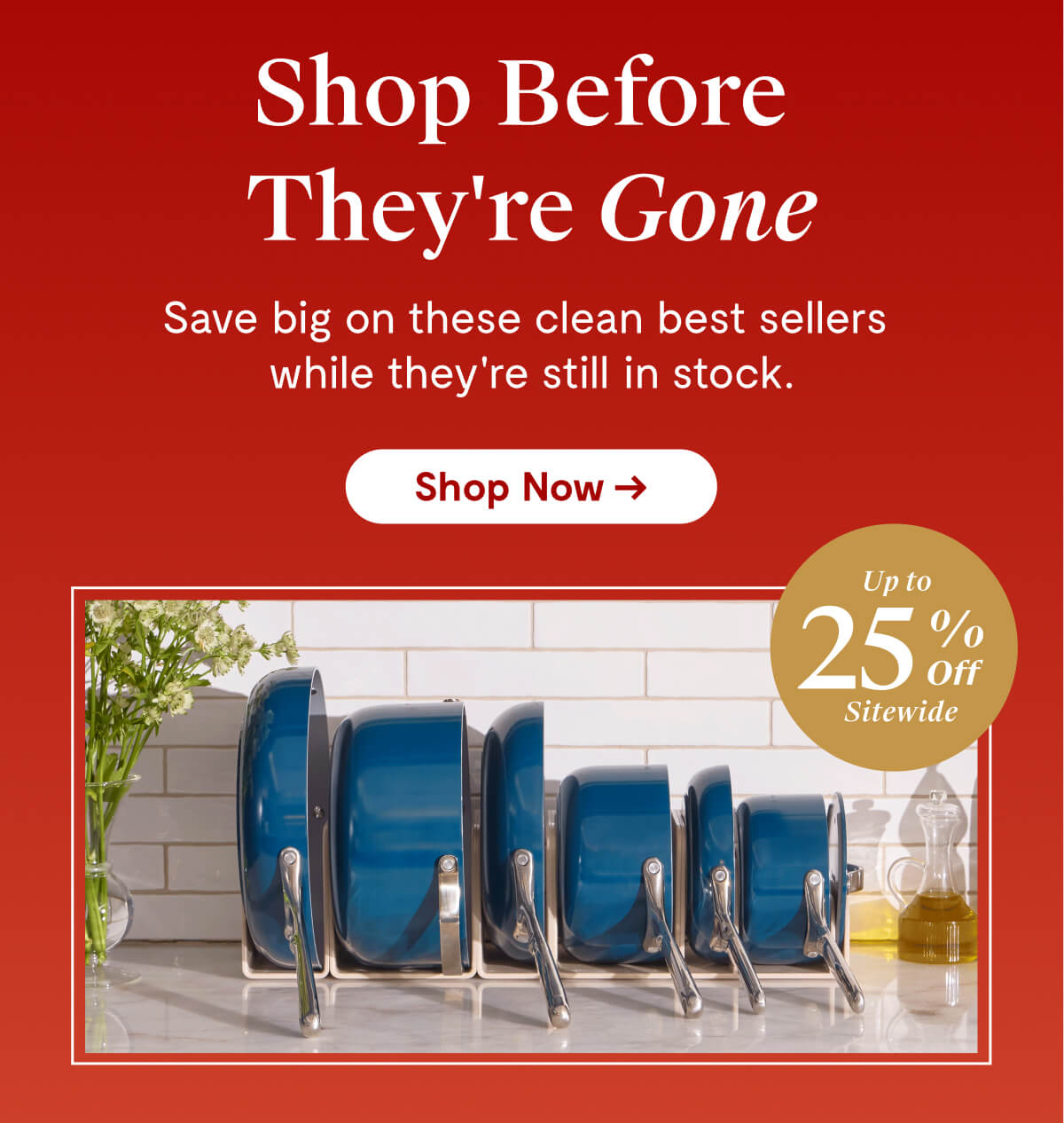 Shop Before They're Gone | Save big on these clean best sellers while they're still in stock. | Up to 25% off Sitewide [Shop Now →]