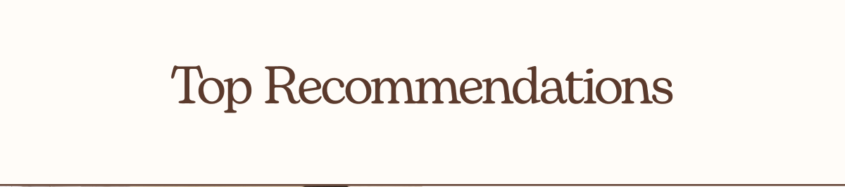 Top Recommendations 
