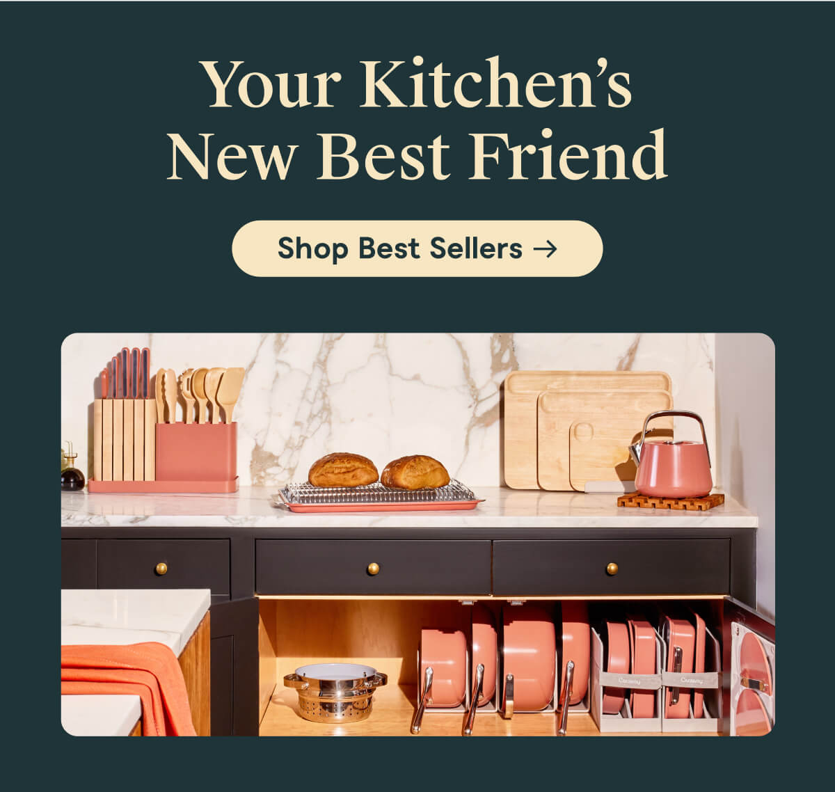 Your kitchen's new best friend