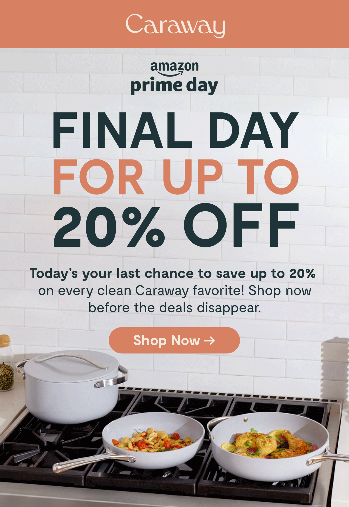 Final Day For Up To 20% Off | Shop Now