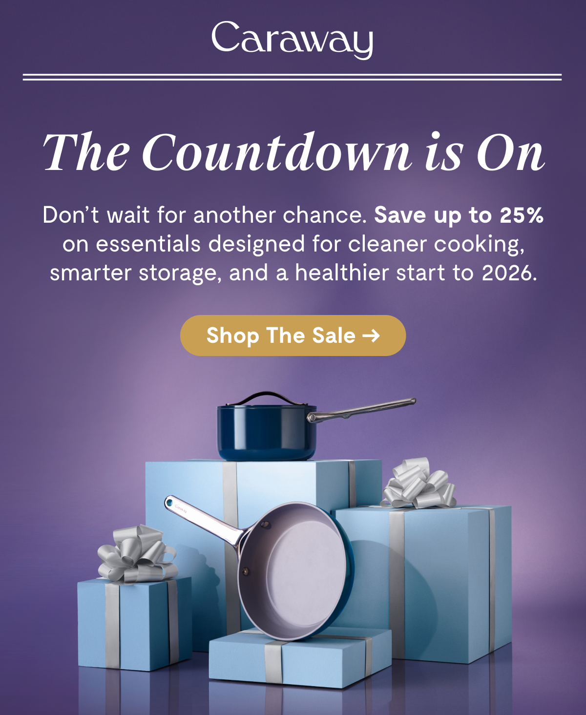 Caraway shop the sale