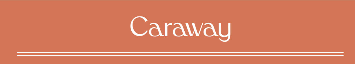 Caraway - Shop Non Toxic Cookware