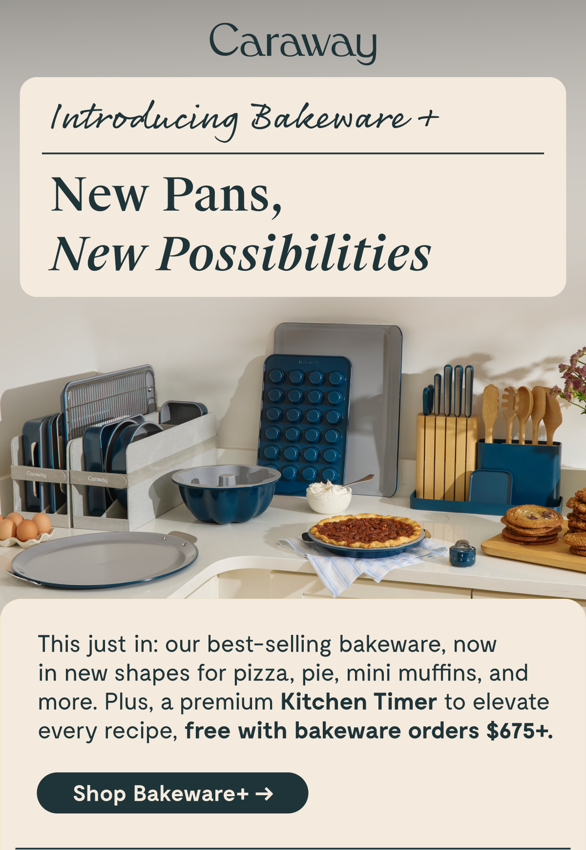 New Pans, New Possibilities | Shop Bakeware+ 