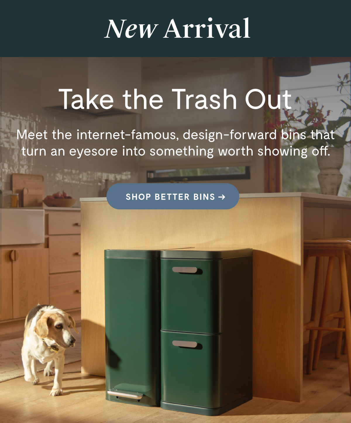 New Arrival | Shop Better Bins 