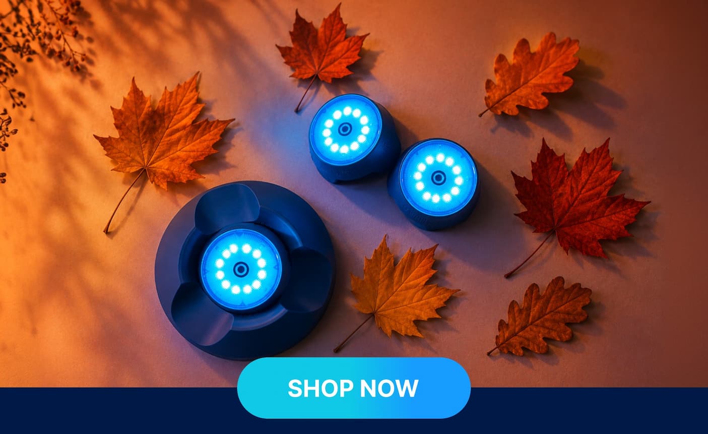 Fall Sale - 20% SITEWIDE
