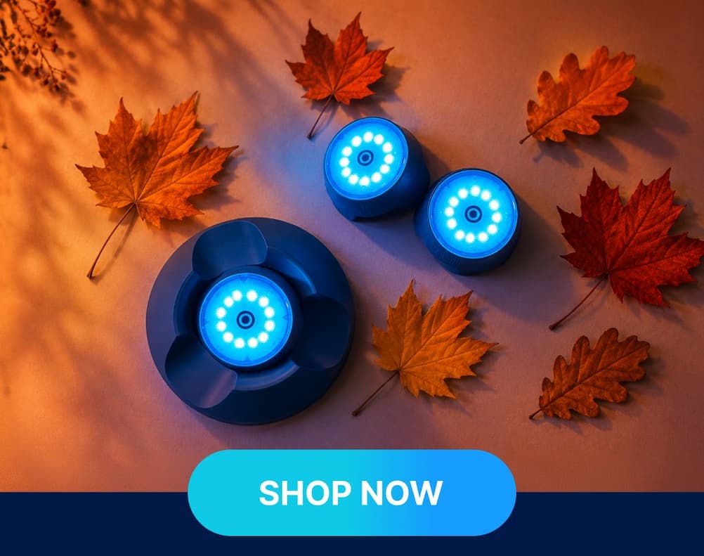 Fall Sale - 20% SITEWIDE