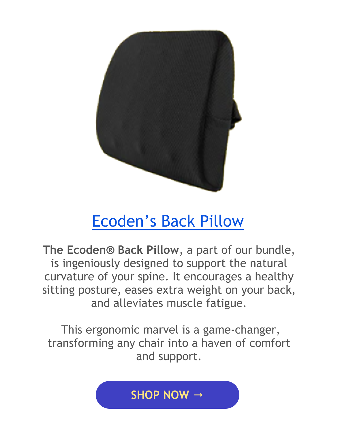 PainFree Sitting Is Now a Reality! Ecoden