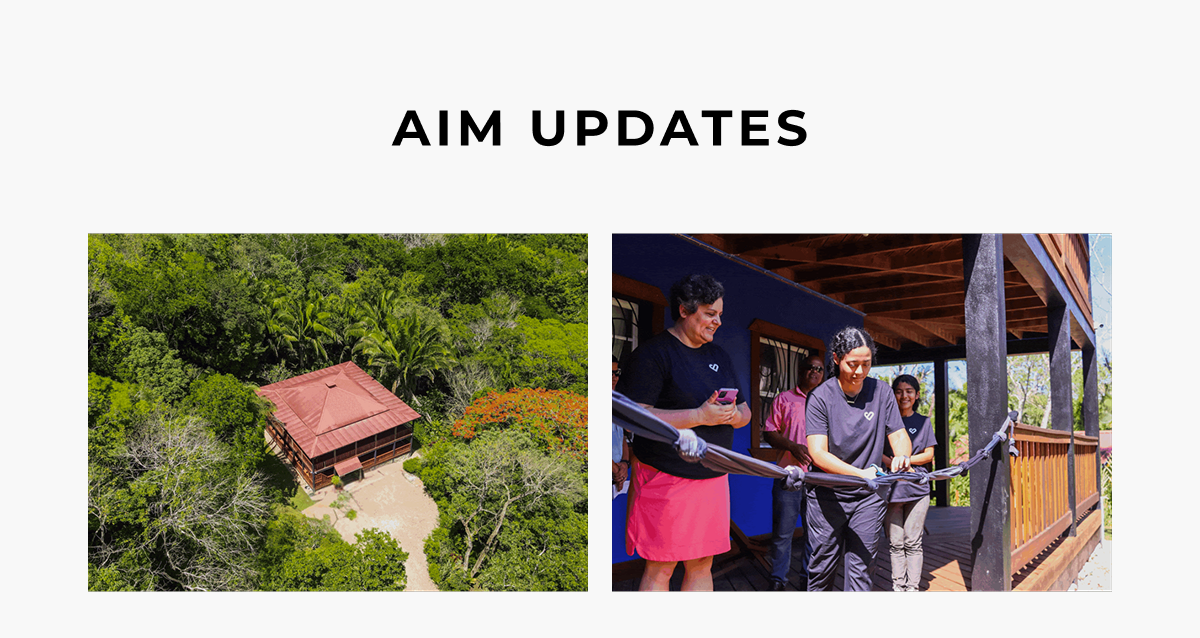 aim updates