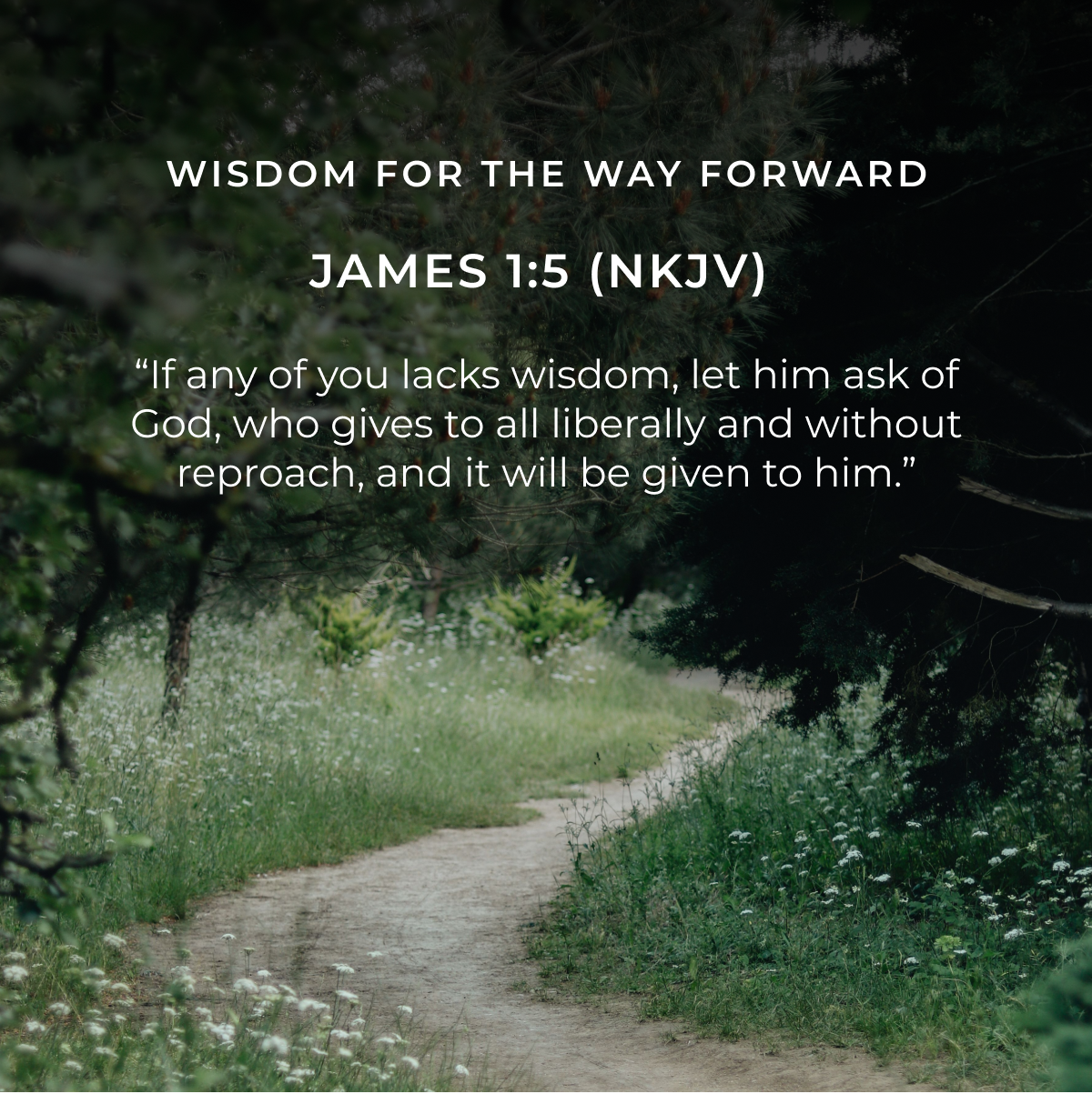 WISDOM FOR THE WAY FORWARD JAMES 1:5 (NKJV) "If any of you lacks wisdom, let him ask of God, who gives to all liberally and without reproach, and it will be given to him."