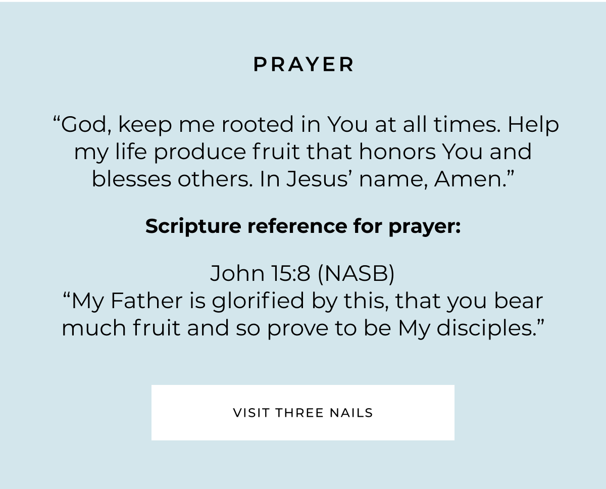 PRAYER "God, keep me rooted in You at all times. Help my life produce fruit that honors You and blesses others. In Jesus' name, Amen." Scripture reference for prayer: John 15:8 (NASB) "My Father is glorified by this, that you bear much fruit and so prove to be My disciples." VISIT THREE NAILS