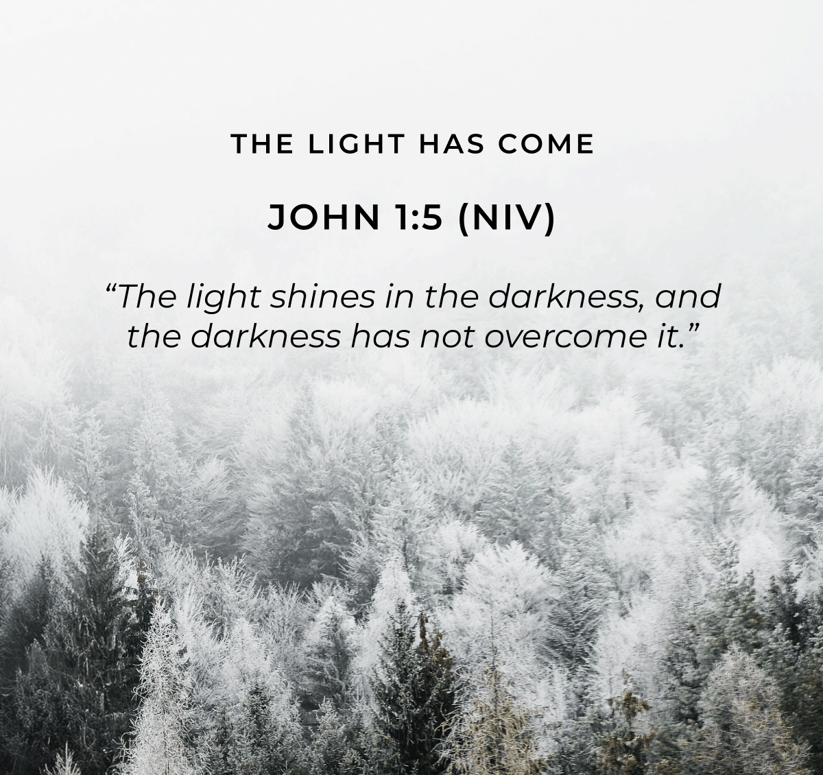 John 1:5 (NIV) "The light shines in the darkness, and the darkness has not overcome it."