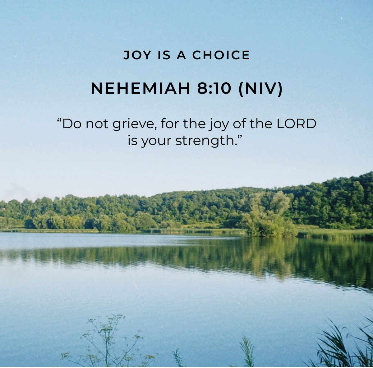 JOY IS A CHOICE NEHEMIAH 8:10 (NIV) "Do not grieve, for the joy of the LORD is your strength."