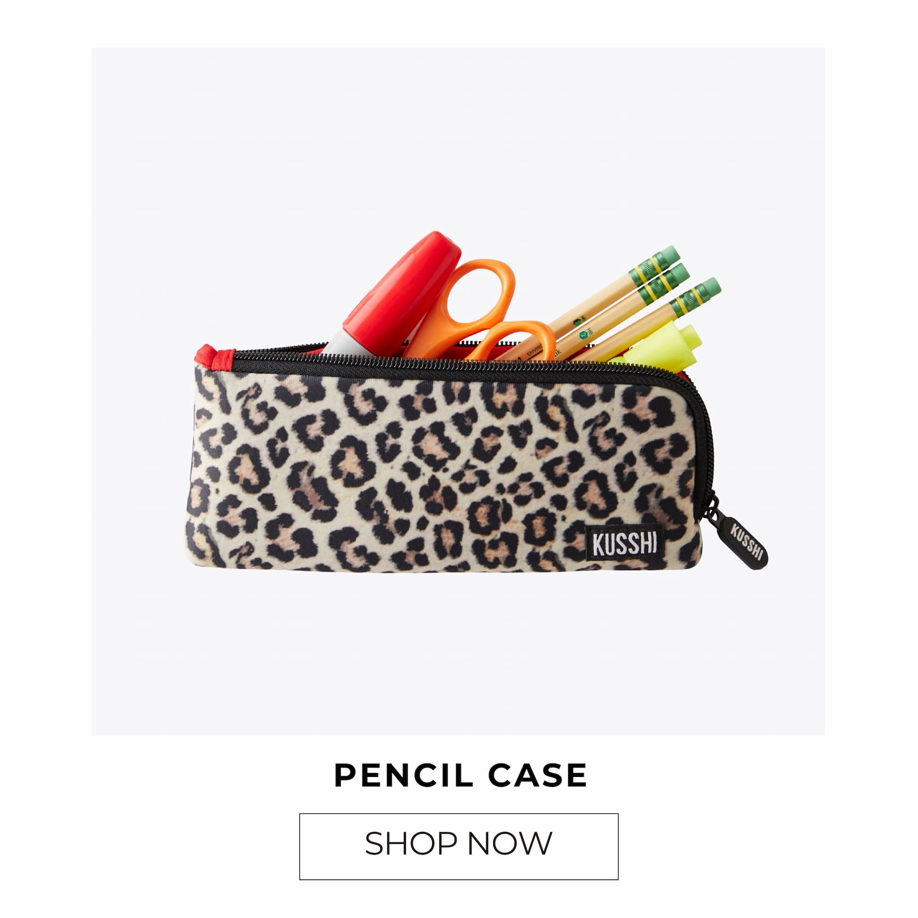 Pencil Case