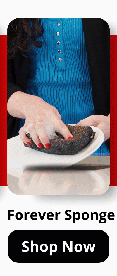 Forever Sponge