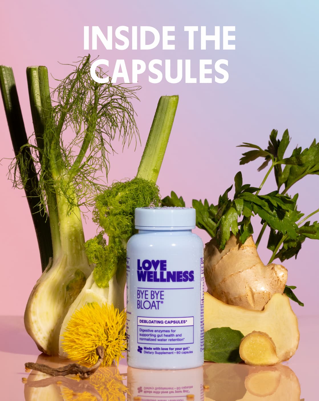 INSIDE THE CAPSULES INSIDE THE CAPSULES