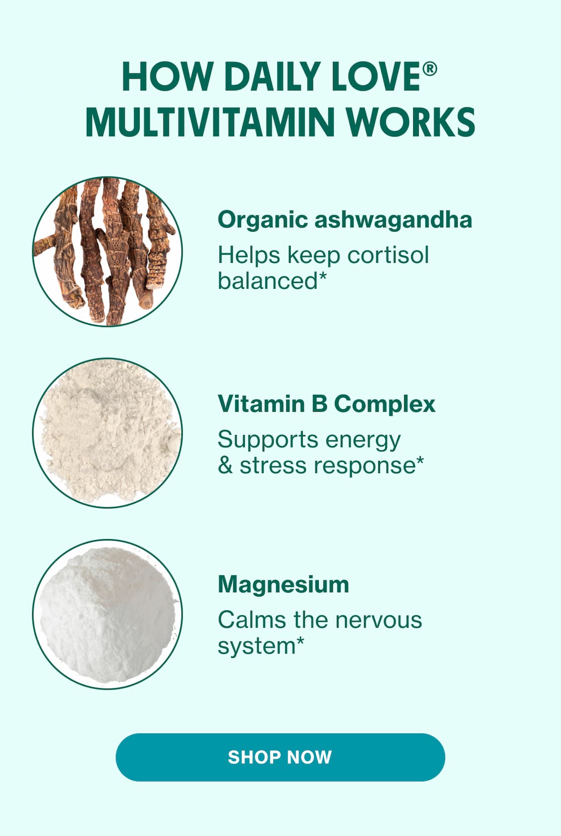 HOW DAILY MULTIVITAMIN WORKS | SHOP NOW