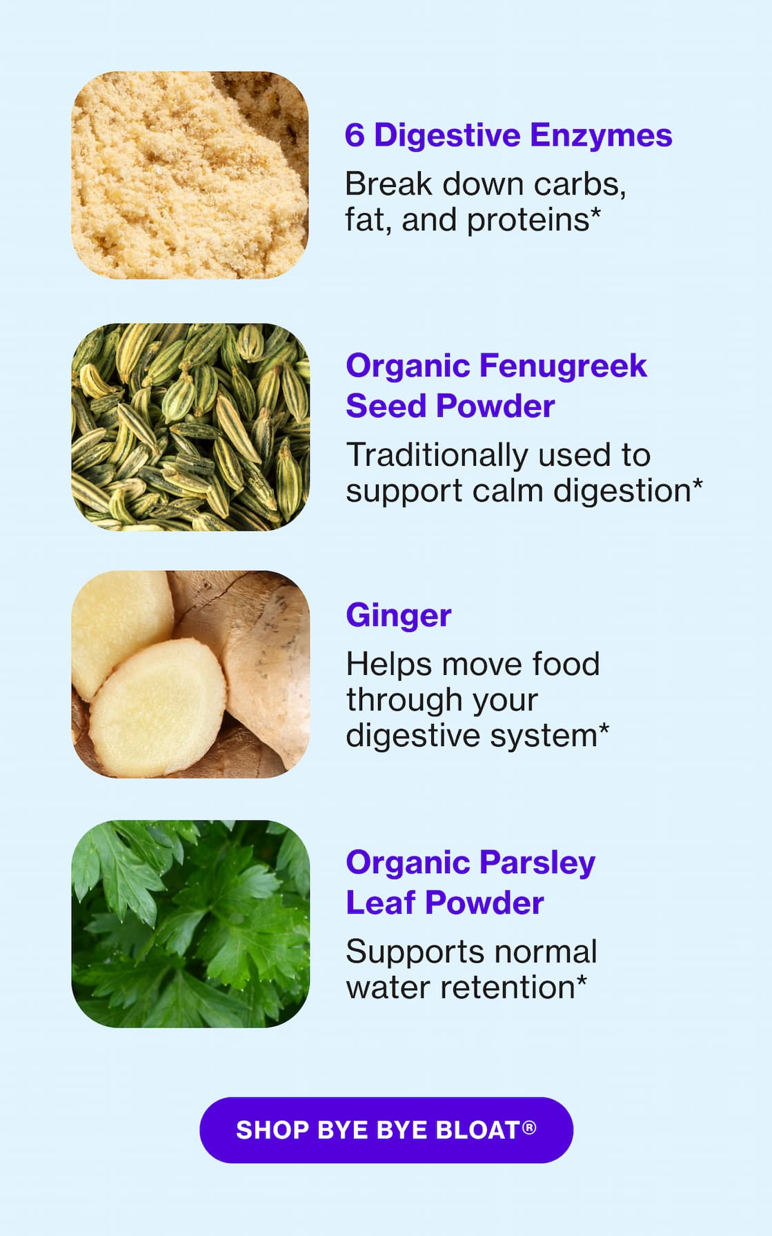 6 Digestive Enzymes | Organic Fenugreek Seed Powder | Ginger | Organic Parsley Leaf Powder | SHOP BYE BYE BLOAT 6 Digestive Enzymes | Organic Fenugreek Seed Powder | Ginger | Organic Parsley Leaf Powder | SHOP BYE BYE BLOAT