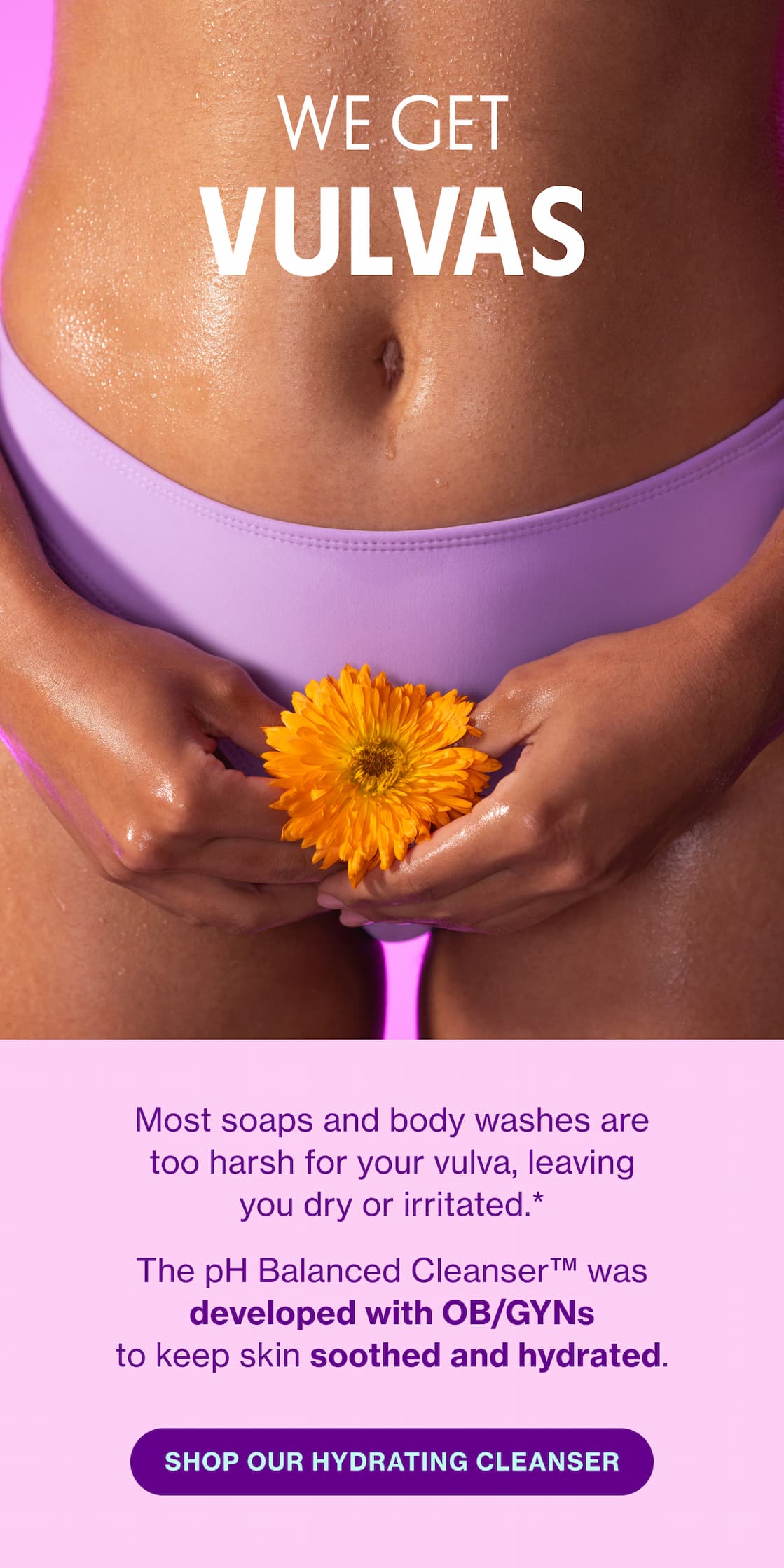 WE GET VULVAS | SHOP OUR HYDRATING CLEANSER WE GET VULVAS | SHOP OUR HYDRATING CLEANSER
