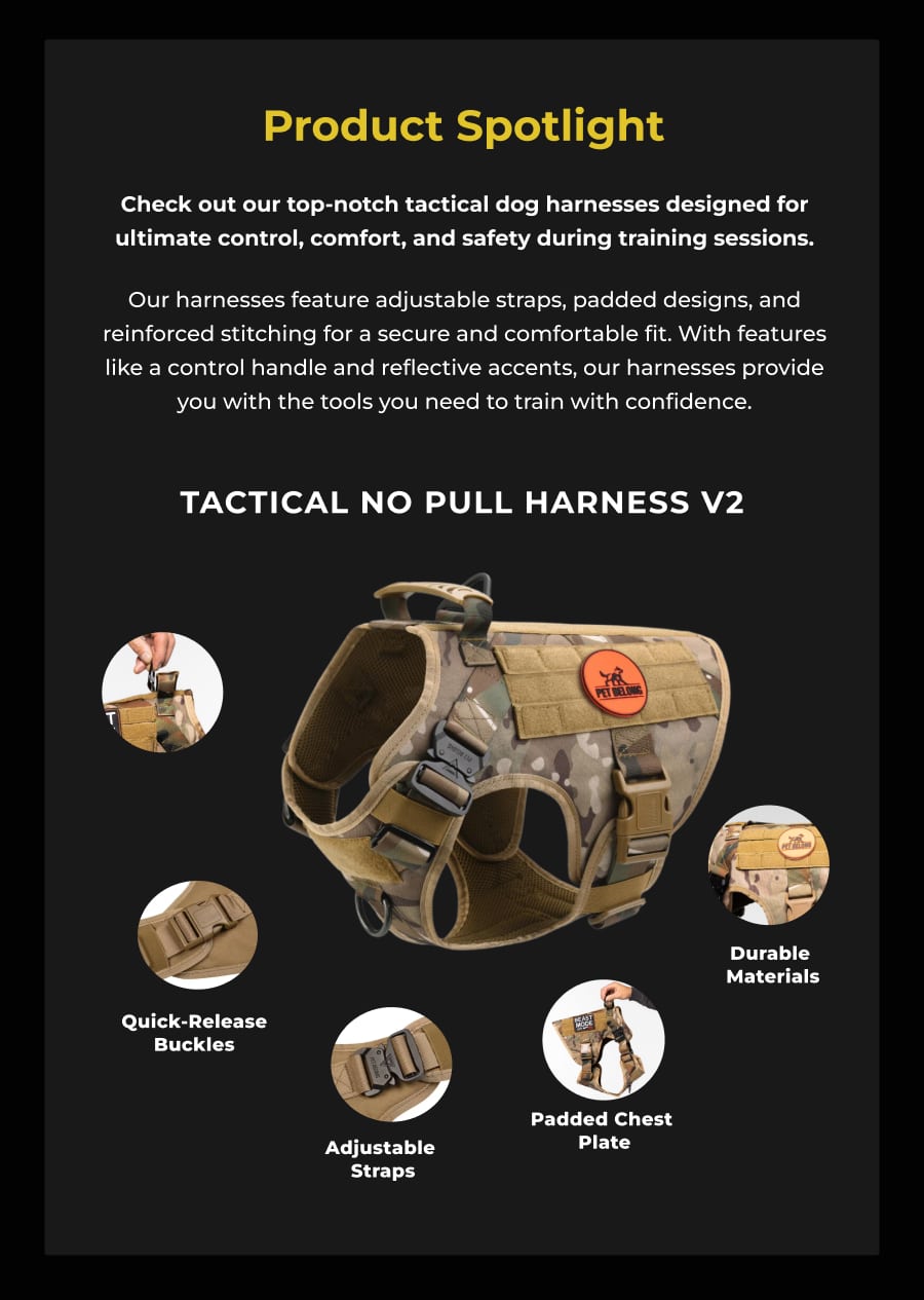 Obedience Made Easy Tactical Secrets Inside Pet Belong