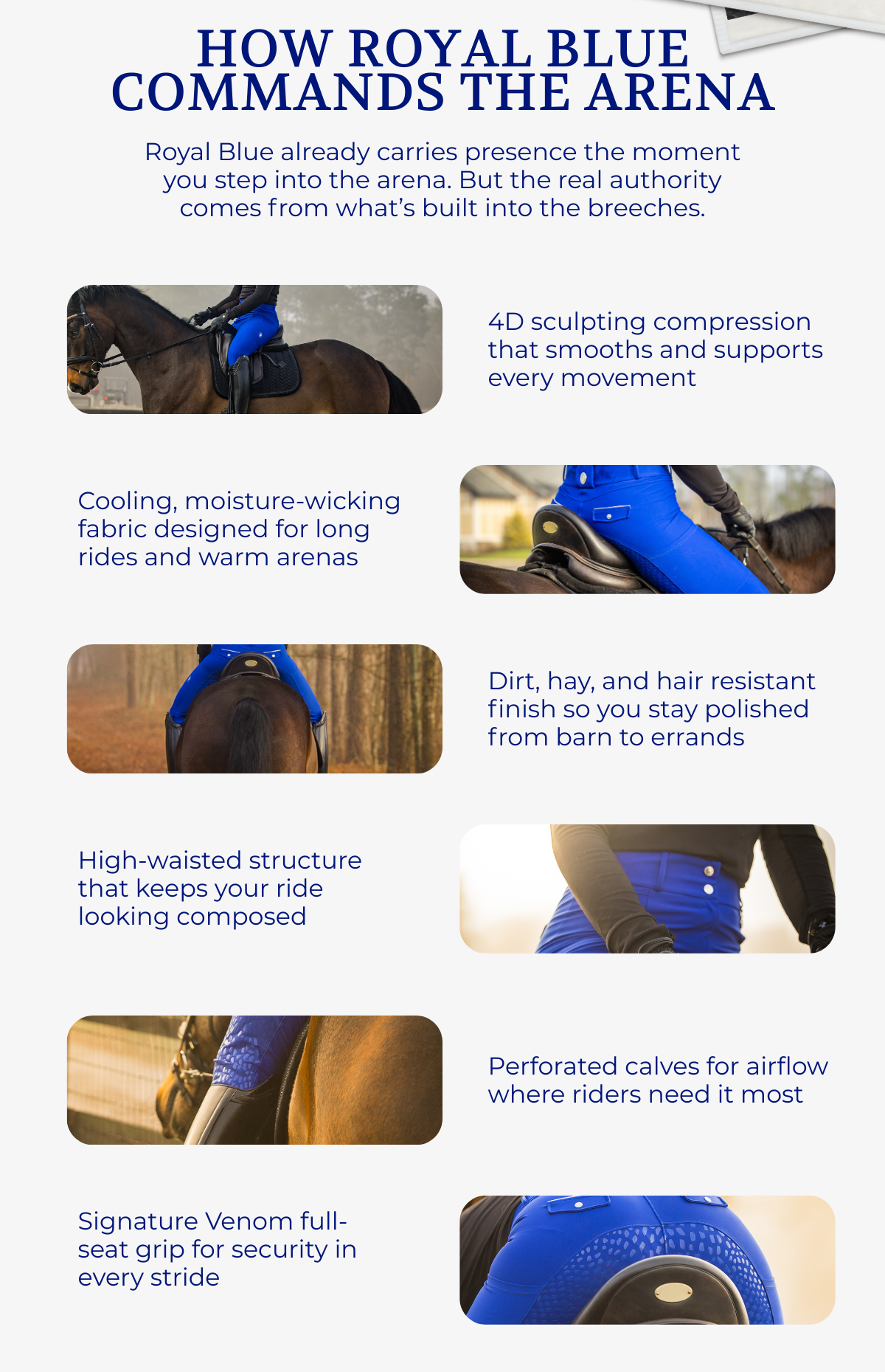 How Royal Blue Commands The Arena