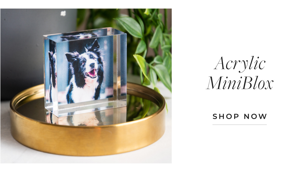 Atrium Acrylic Block Product Shot