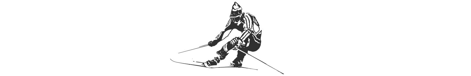Logo Spyder