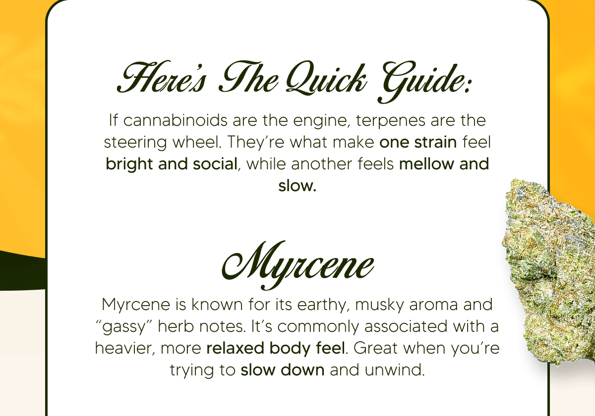 Why Strains Feel Different | Pinnacle Hemp