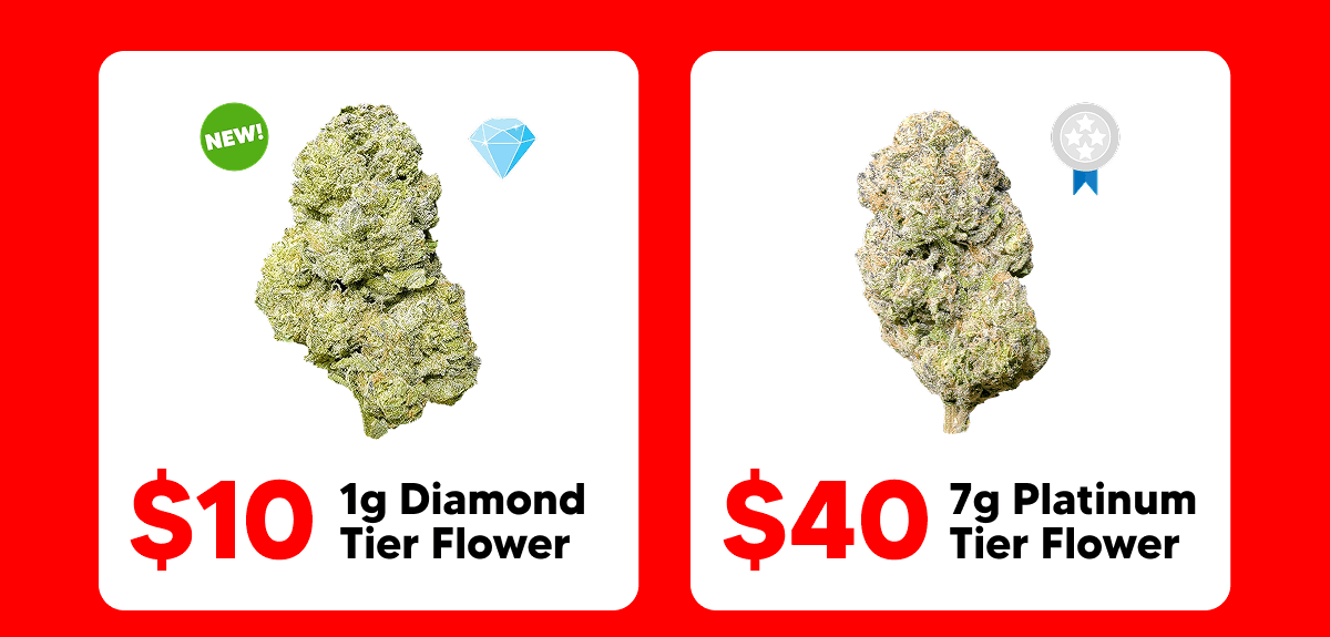 Shop Flower | Pinnacle Hemp