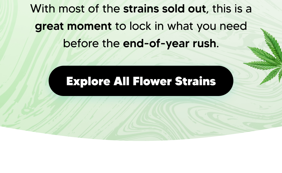 Strain of the Week | Pinnacle Hemp