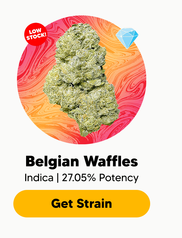 Belgian Waffles | Pinnacle Hemp