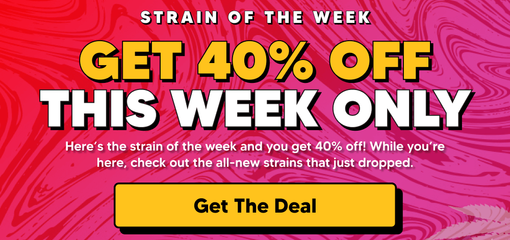 Strain Of The Week! | Pinnacle Hemp