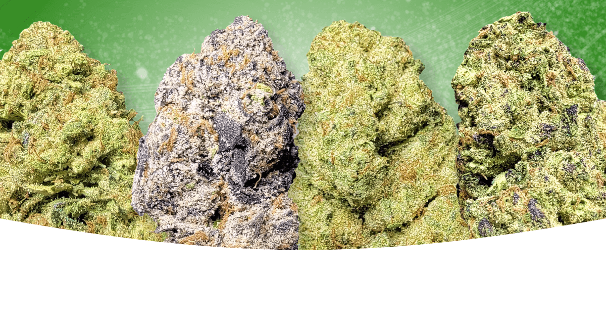 Black Friday Deals | Pinnacle Hemp