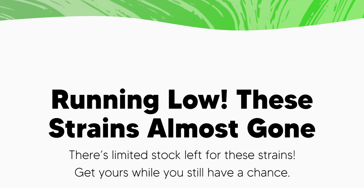 Low Stock Strains | Pinnacle Hemp