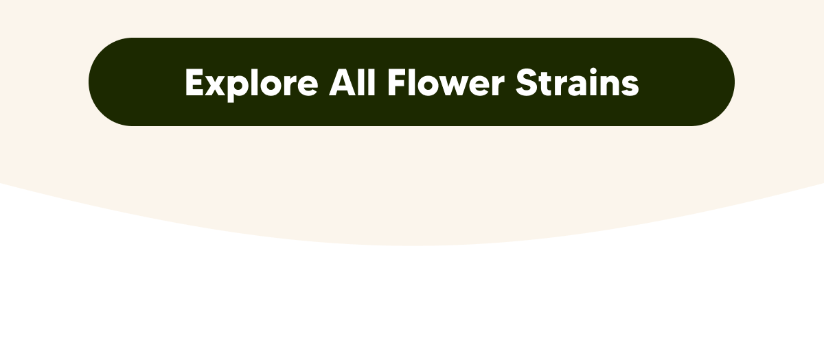 Pick The Perfect Strain | Pinnacle Hemp