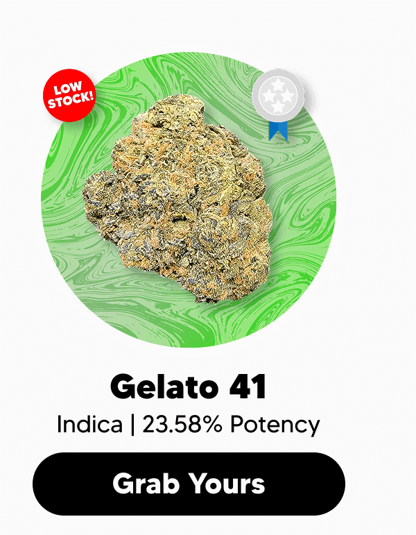 Shop Gelato 41