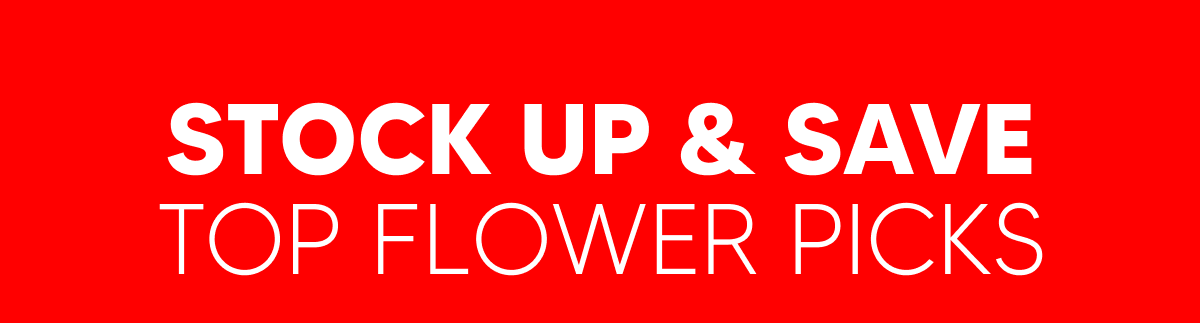 Black Friday Deals | Pinnacle Hemp