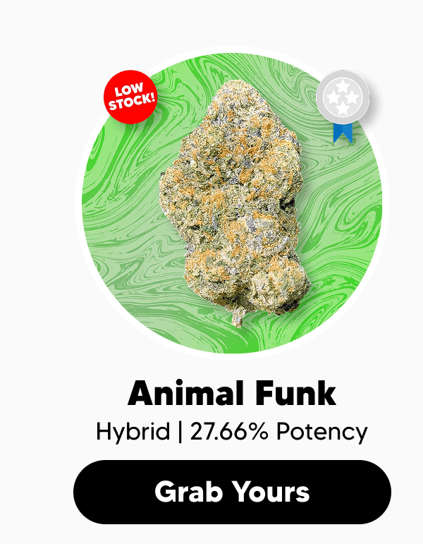 Shop Animal Funk