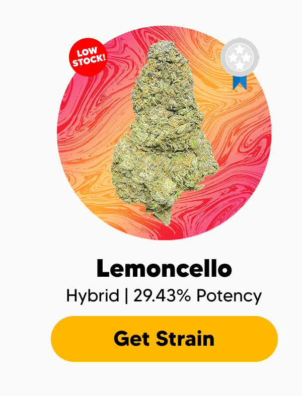 Lemoncello | Pinnacle Hemp