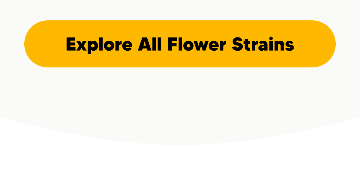 Explore All Flower | Pinnacle Hemp