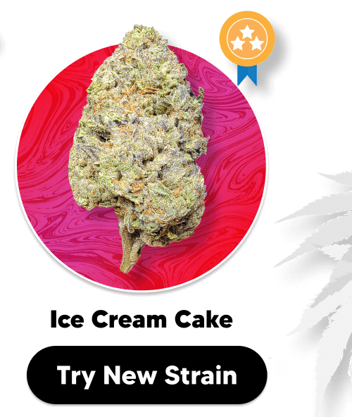 Shop Ice Cream Cake | Pinnacle Hemp