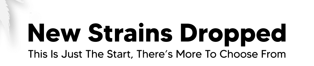 New Strains! | Pinnacle Hemp