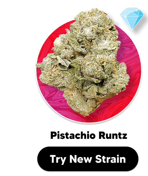 Shop Pistachio Runtz | Pinnacle Hemp