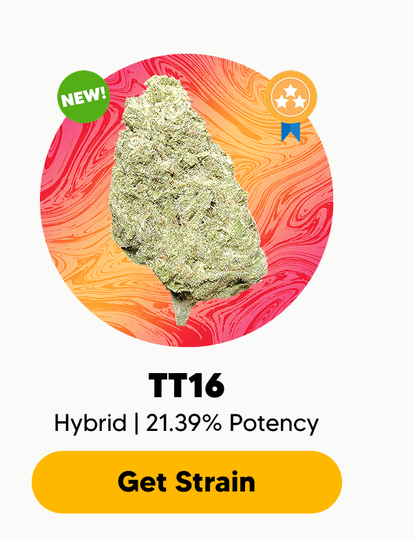 TT16 | Pinnacle Hemp