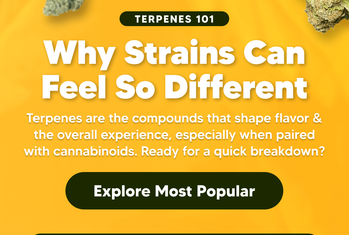 Why Strains Feel Different | Pinnacle Hemp