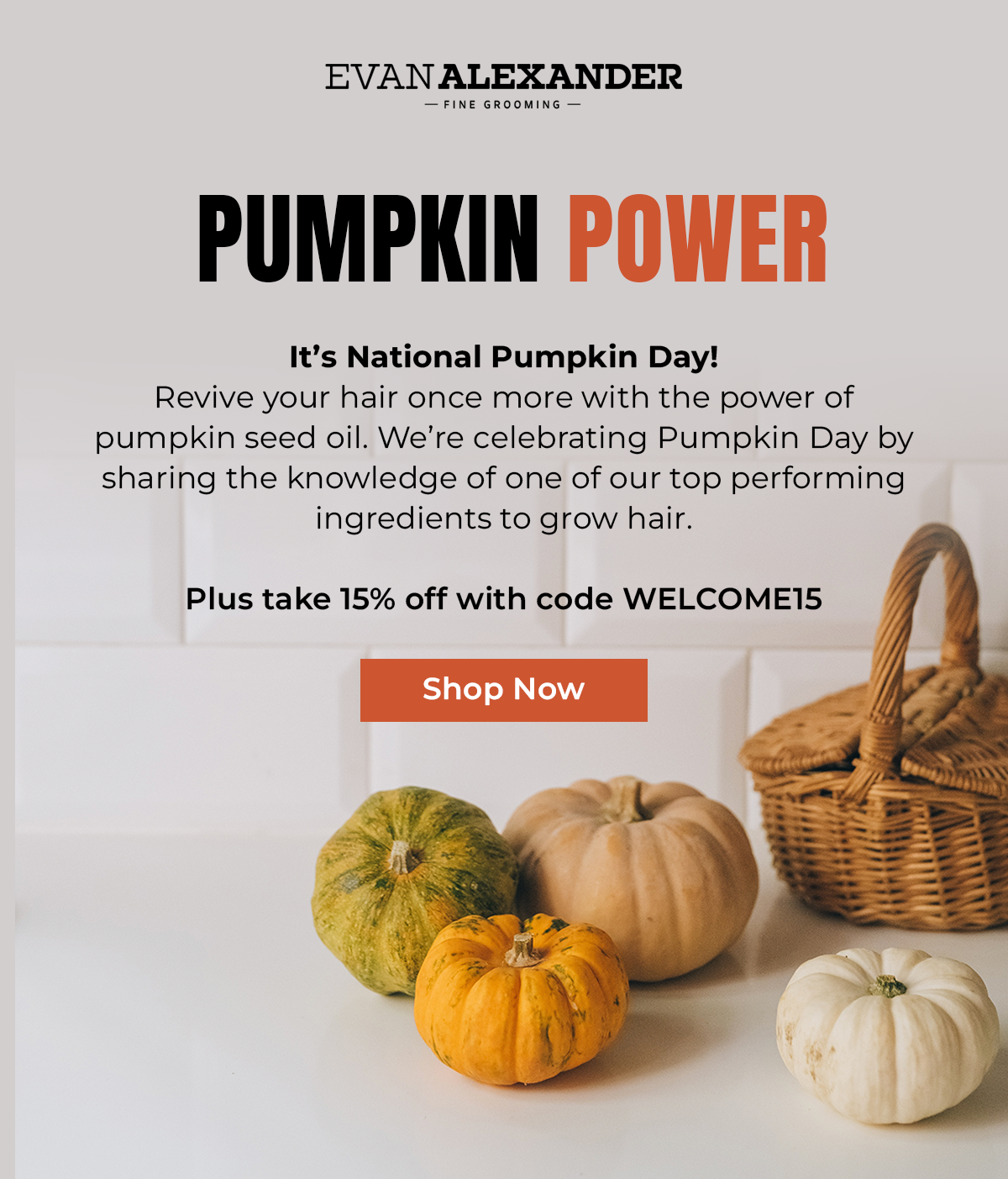 🎃 Pumpkin Seed Oil A Natural DHT Blocker Evan Alexander Grooming