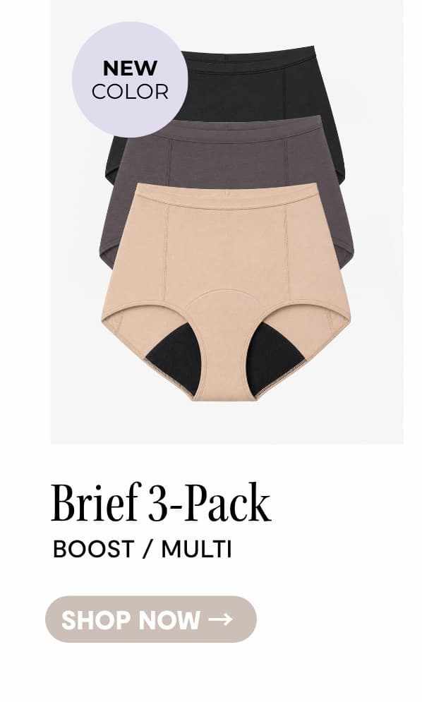 SHOP BOOST BRIEF 3-PACK MULTI