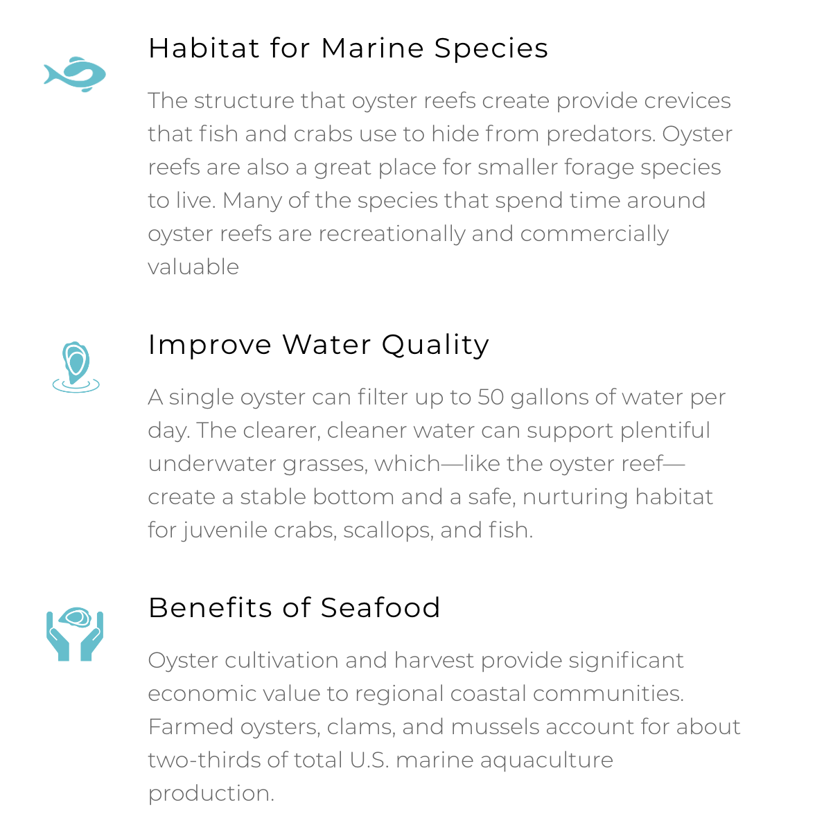 How oysters keep our clean. Toadfish Outfitters