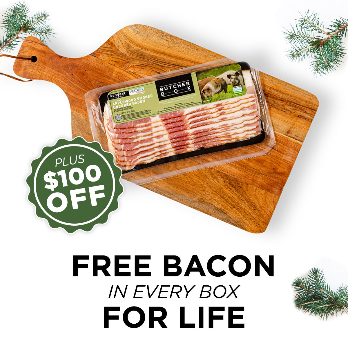 FREE BACON IN EVERY BOX FOR LIFE+ $100 OFF