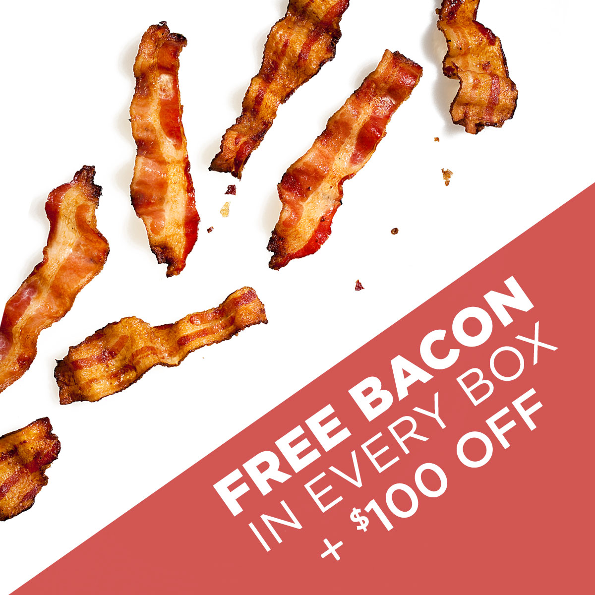 FREE BACON IN EVERY BOX + $100 OFF