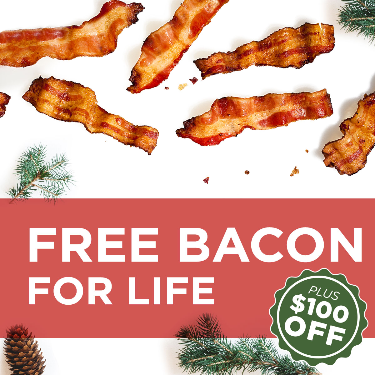 FREE BACON FOR LIFE+ $100 OFF